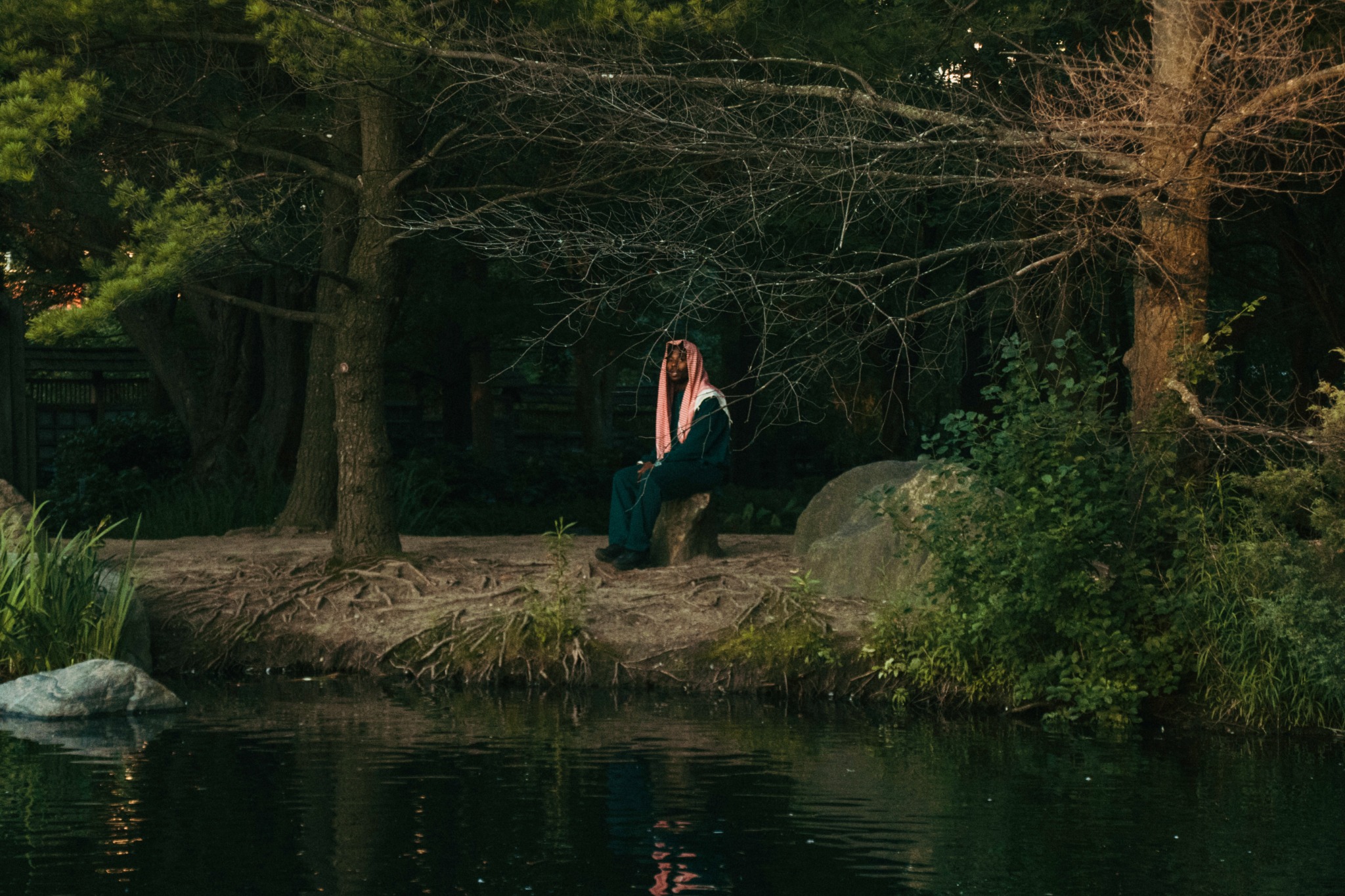 King Sultan sitting by the water in a wooded landscape