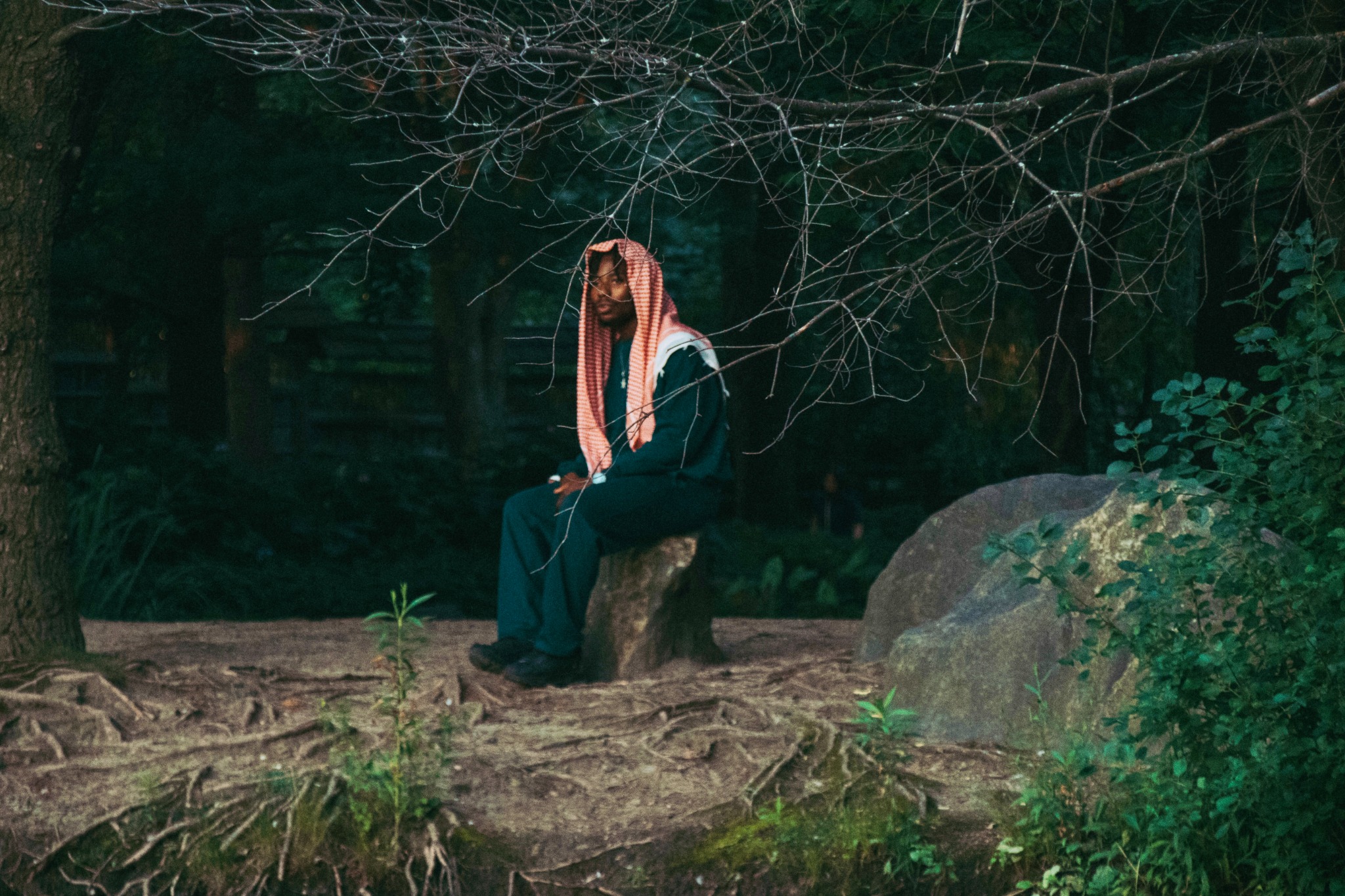 King Sultan among trees in the woods